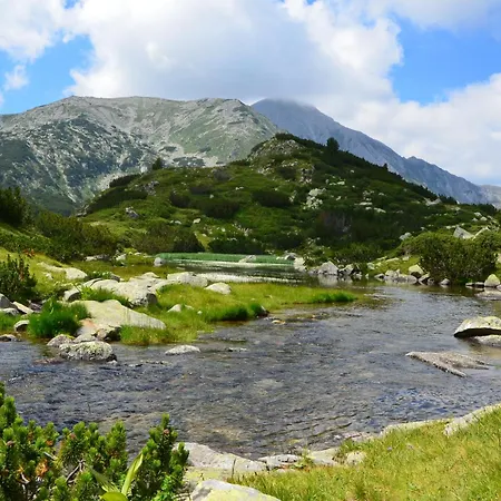 Evergreen Private 303 아파트 *